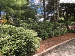 104 Pine Valley Road Newland, NC 28657 - Photo 5 of 10 Gallery Image 5