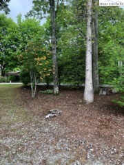 104 Pine Valley Road Newland, NC 28657 - Photo 7 of 10 Gallery Image 7