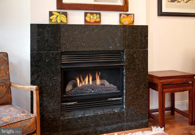 1437 Spring Road Northwest, Unit 32 Washington, DC 20010 - Photo 6 of 15 Gas fireplace.