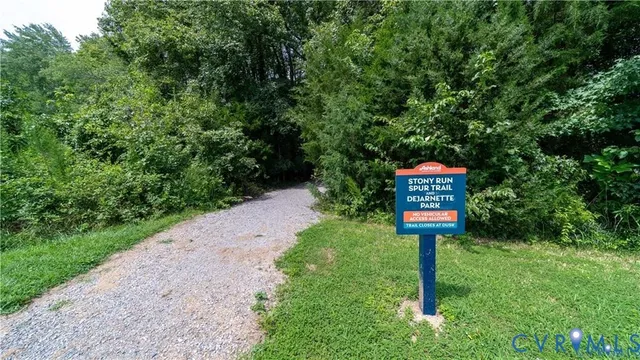 a view of a forest with trees in the background