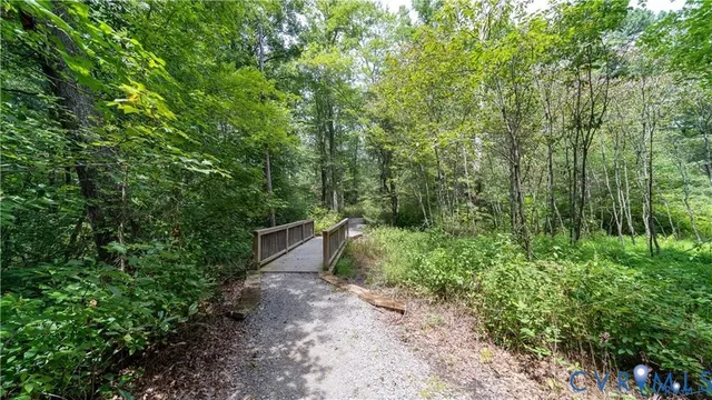 a view of a forest with trees in the background