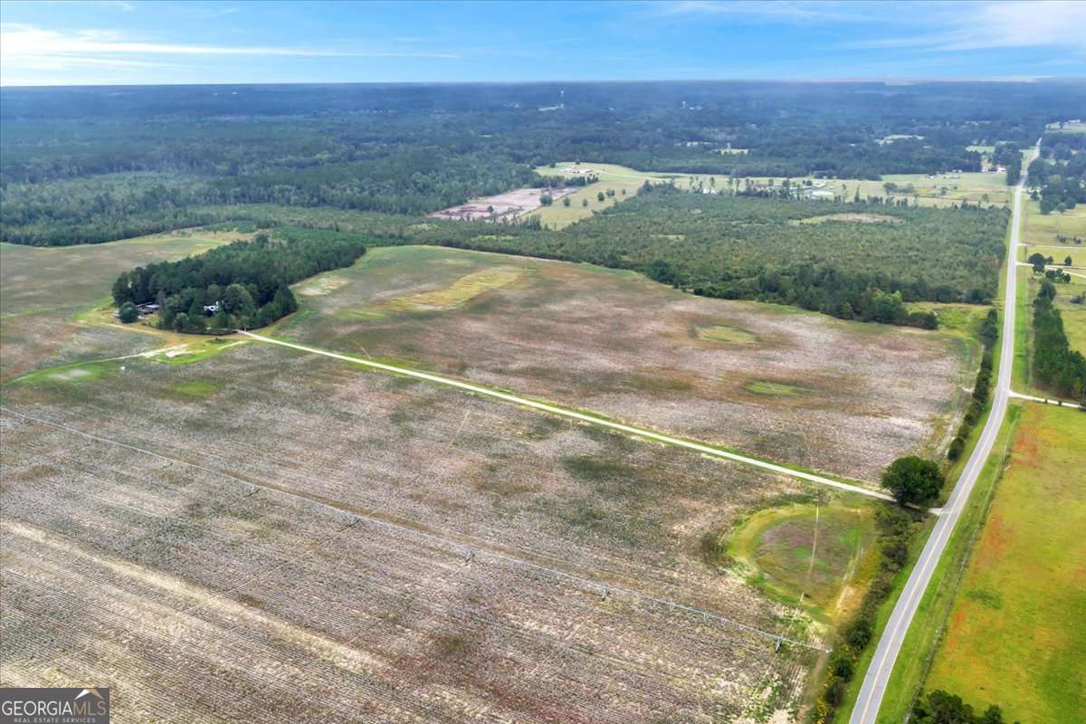 568 Hopewell Church Road Rhine, GA 31077 - Photo 59 of 79 a view of a field with an ocean