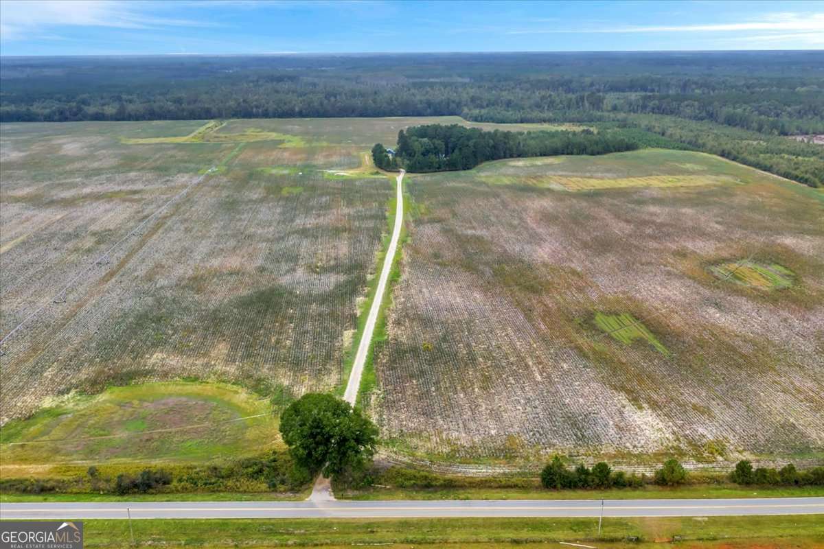 568 Hopewell Church Road Rhine, GA 31077 - Photo 60 of 79
