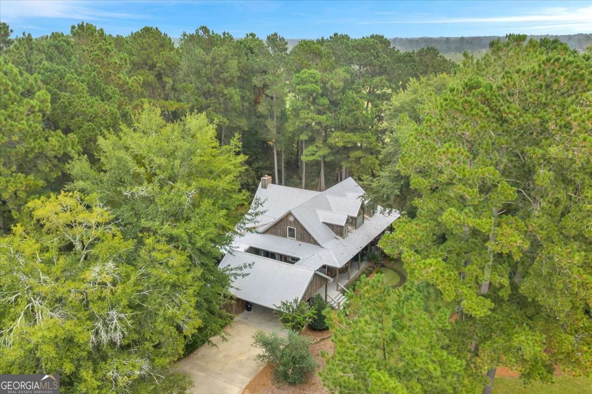 568 Hopewell Church Road Rhine, GA 31077 - Photo 64 of 79 an aerial view of a house with a yard