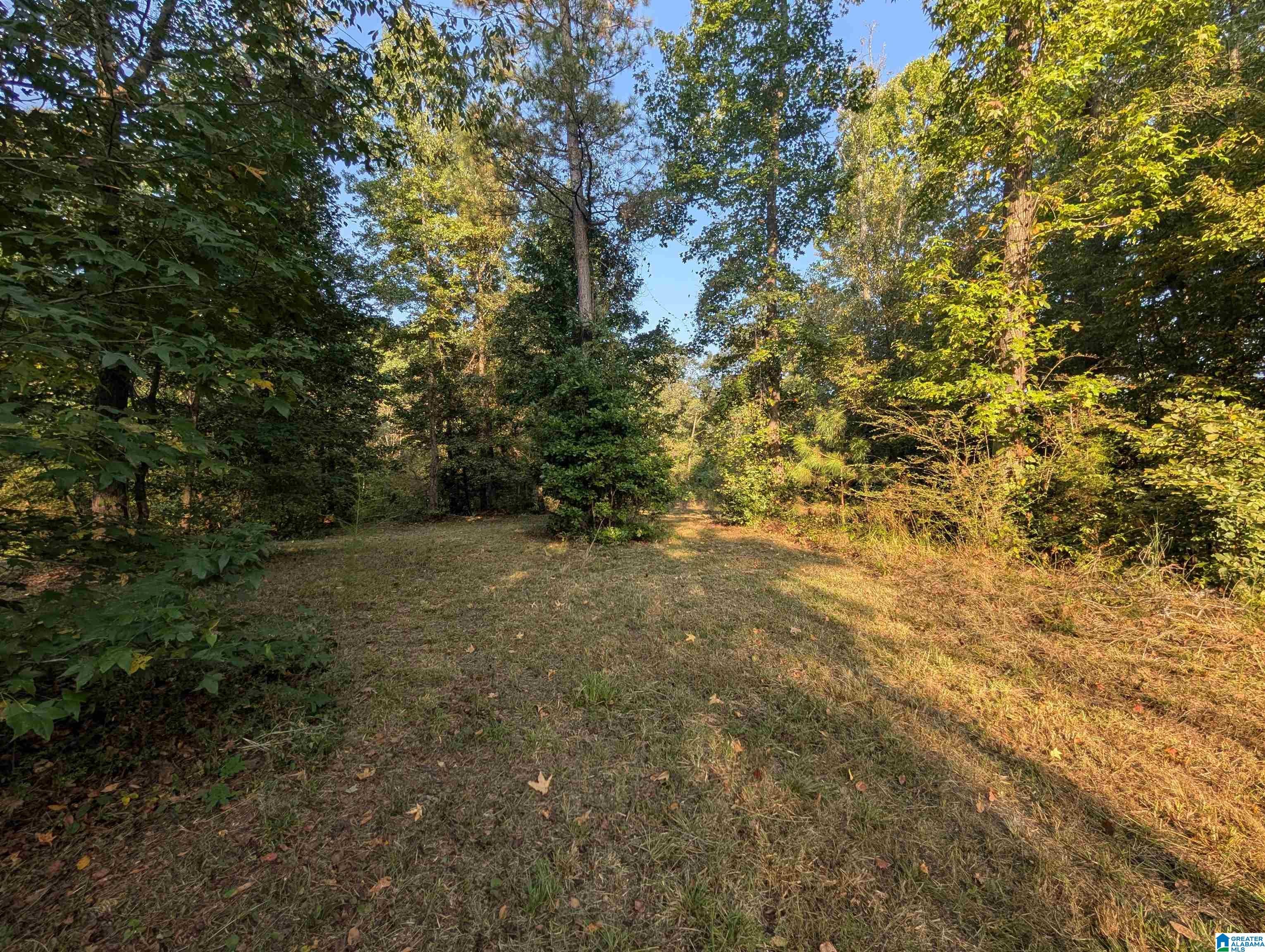 591 McClain Road, Unit 2 Bessemer, AL 35023 - Photo 8 of 15 Gallery Image 8