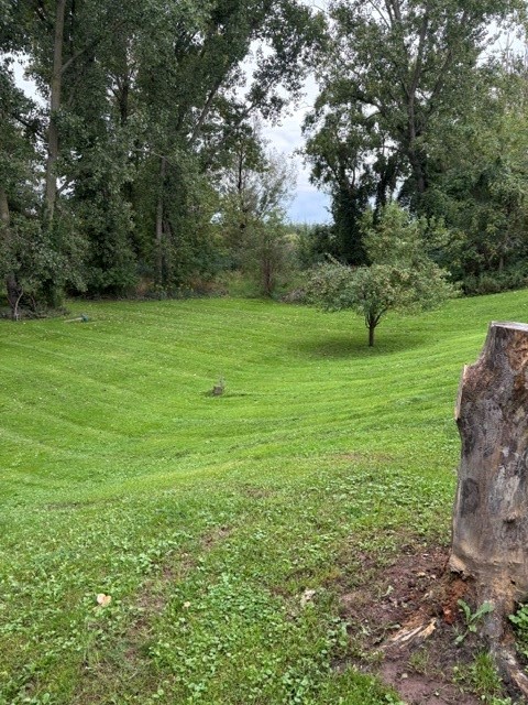 2099 Swett Road Yates, NY 14098 - Photo 22 of 23 Gallery Image 22