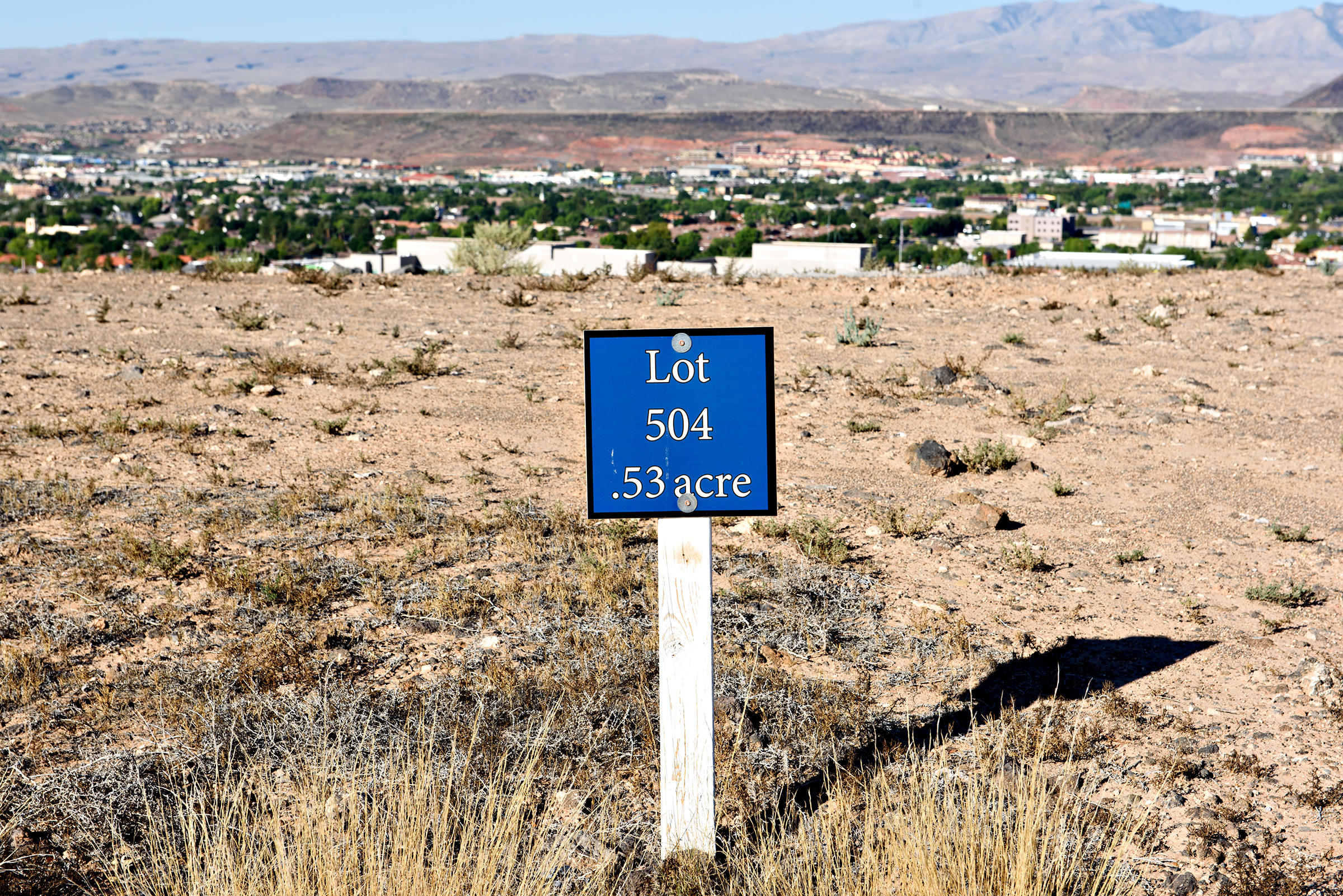 Lot 504_7596