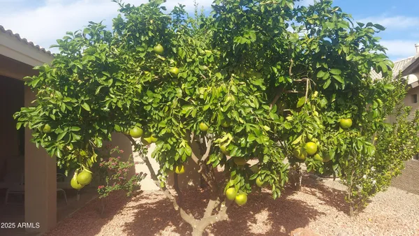 a backyard of a house with table and chairs