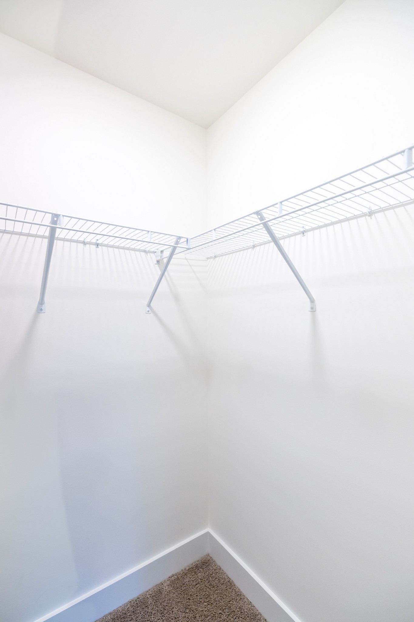 7150 Gracious Drive Franklin, TN 37064 - Photo 19 of 57