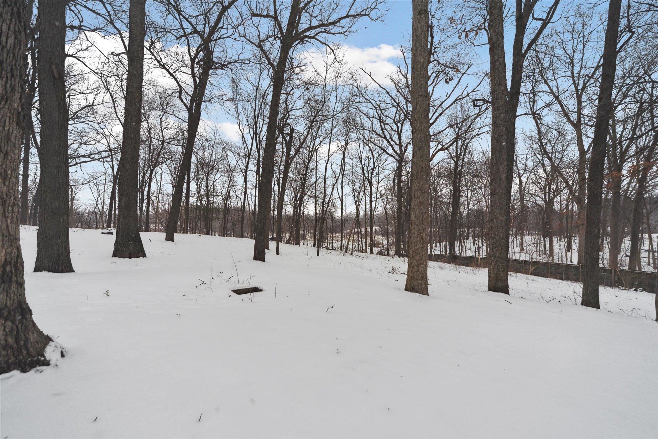 13907 Upton Road Bath, MI 48808 - Photo 43 of 45