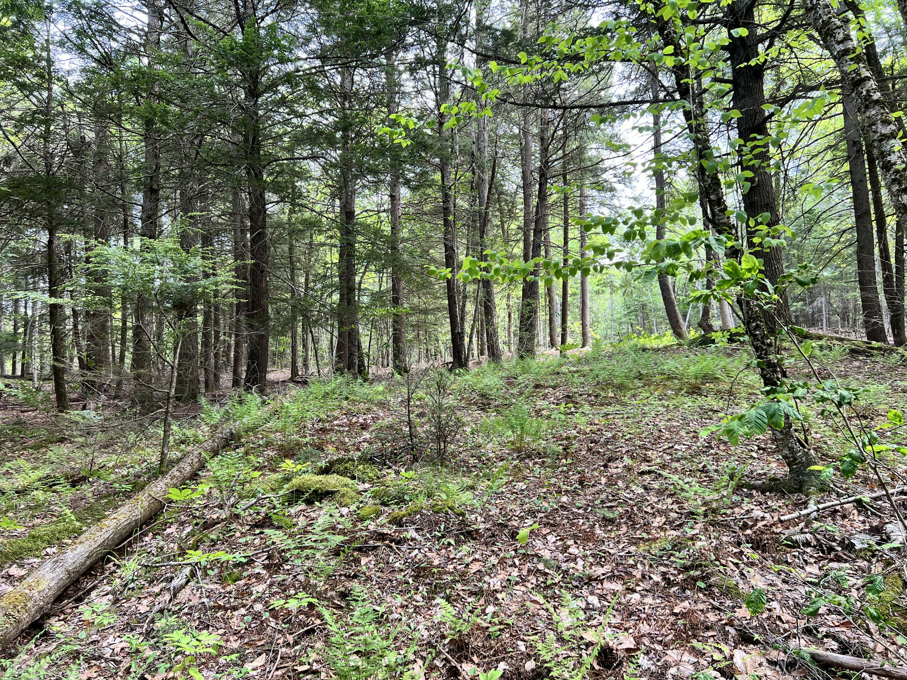 139 A Pratt Road Bowdoinham, ME 04008 - Photo 10 of 17 17