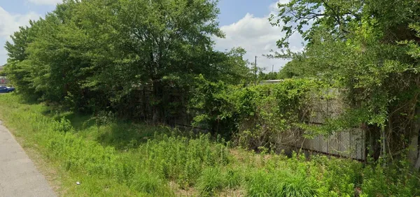 a view of a lush green space