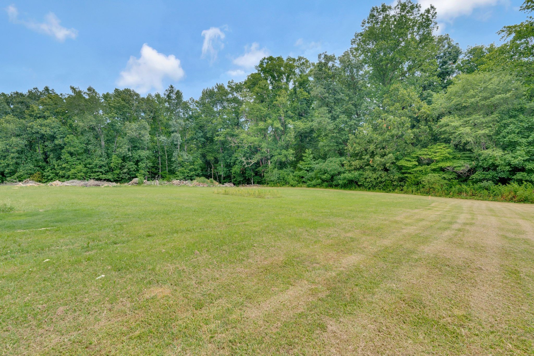 1286 Norton Road Manchester, TN 37355 - Photo 27 of 31 a view of a green field