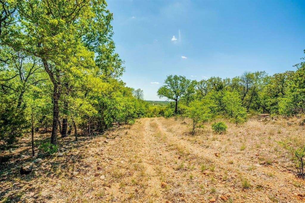 281 Tract 1 Mineral Wells Mineral Wells, TX 76067 - Photo 4 of 23 a view of a yard with plants and trees