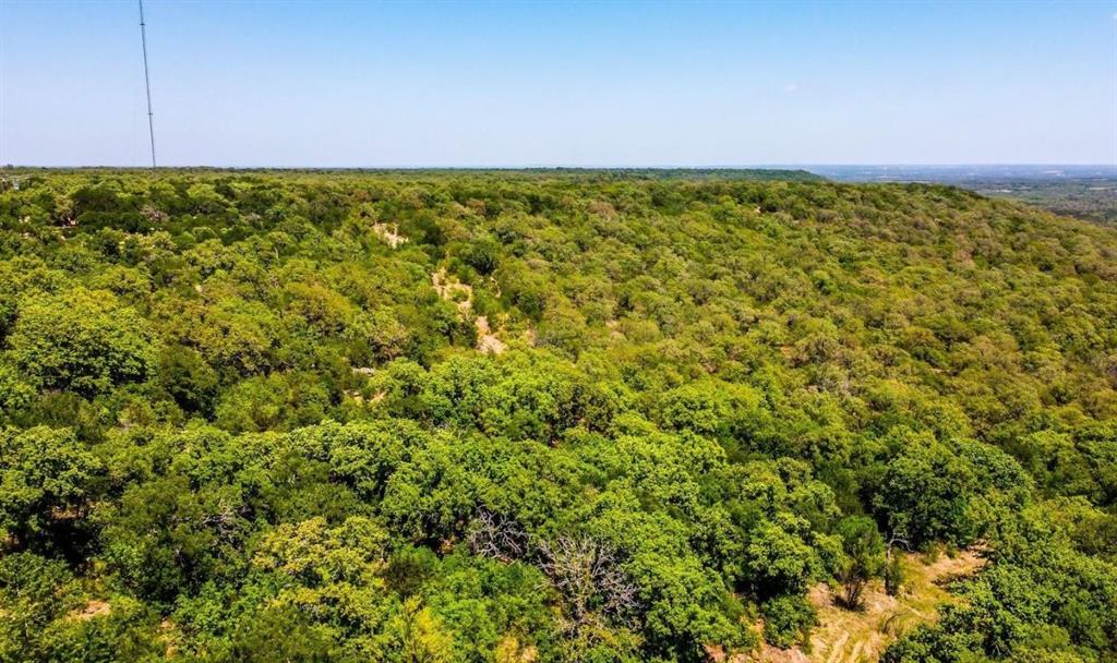 281 Tract 1 Mineral Wells Mineral Wells, TX 76067 - Photo 10 of 23 a view of a large yard
