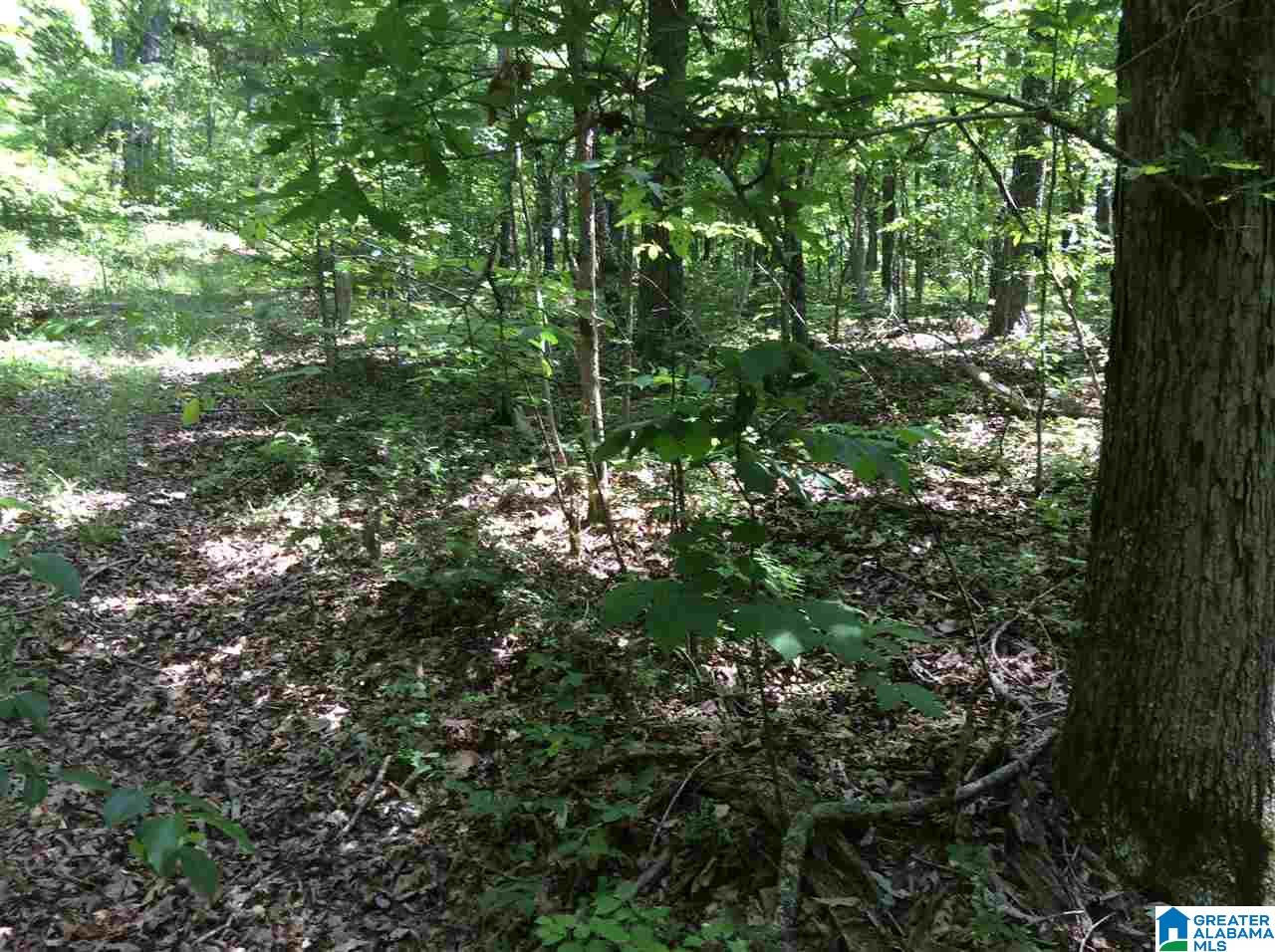 Hoyt Hill Road, Unit 1 Ashville, AL 35953 - Photo 8 of 13