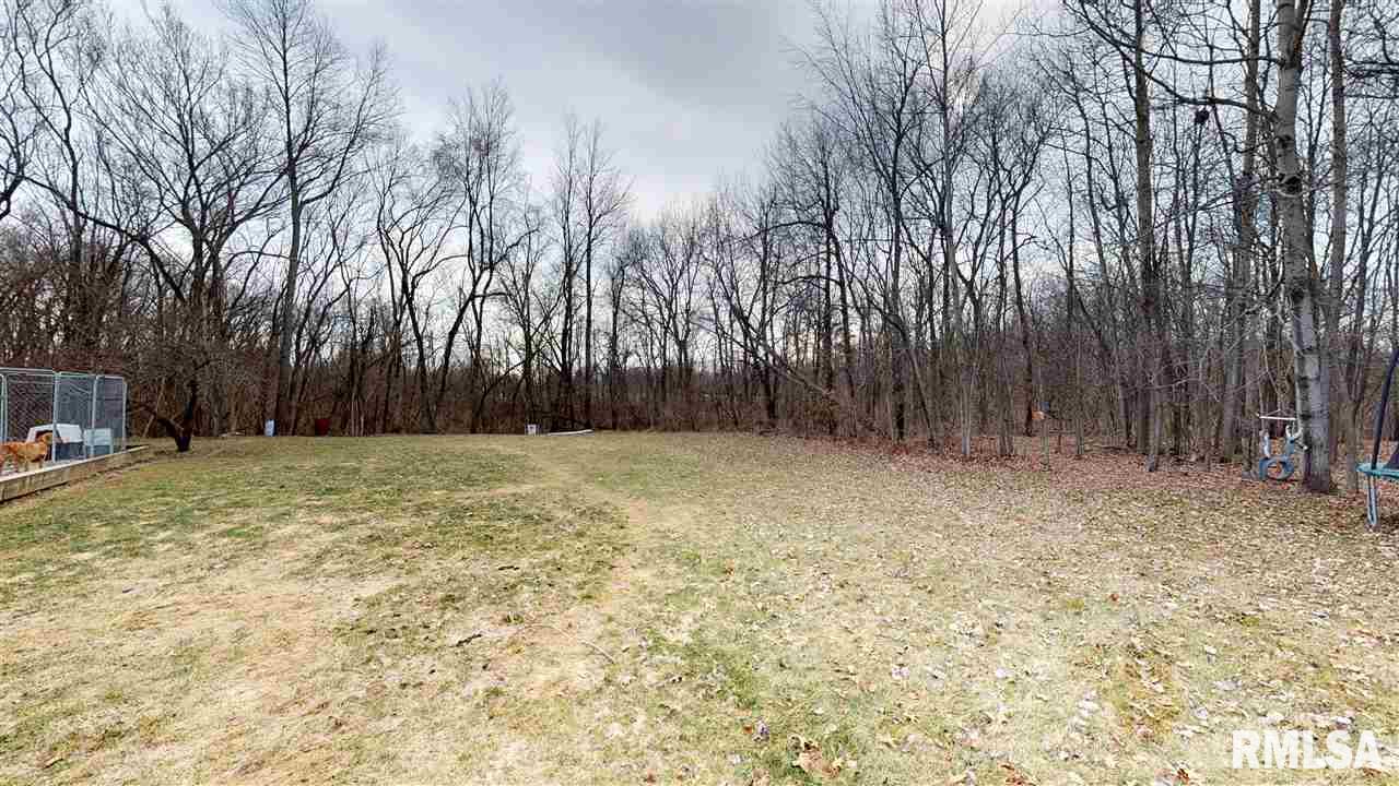 24945 Spring Creek Road Washington, IL 61571 - Photo 9 of 36 Gallery Image 9