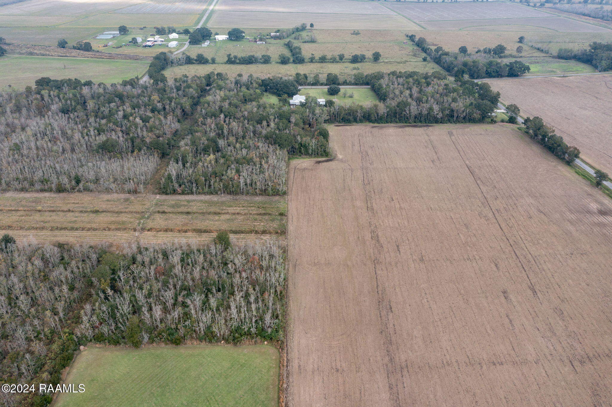 0 Stutes Road Rayne, LA 70578 - Photo 4 of 8 4-web-or-mls-DJI_0539