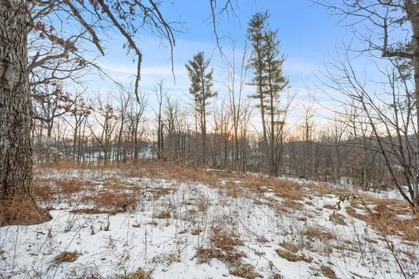a view of a yard with trees