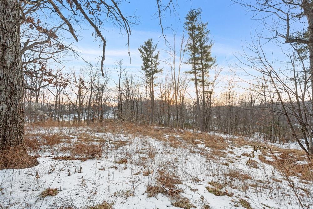 36 Crattan Hl Road Mount Crawford, VA 22841 - Photo 4 of 6 a view of a yard with trees