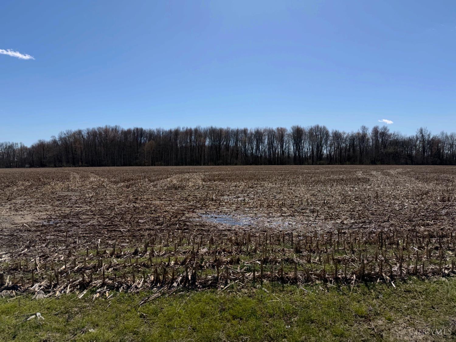0 Mount Olive Point Isabel Road Bethel, OH 45106 - Photo 4 of 5