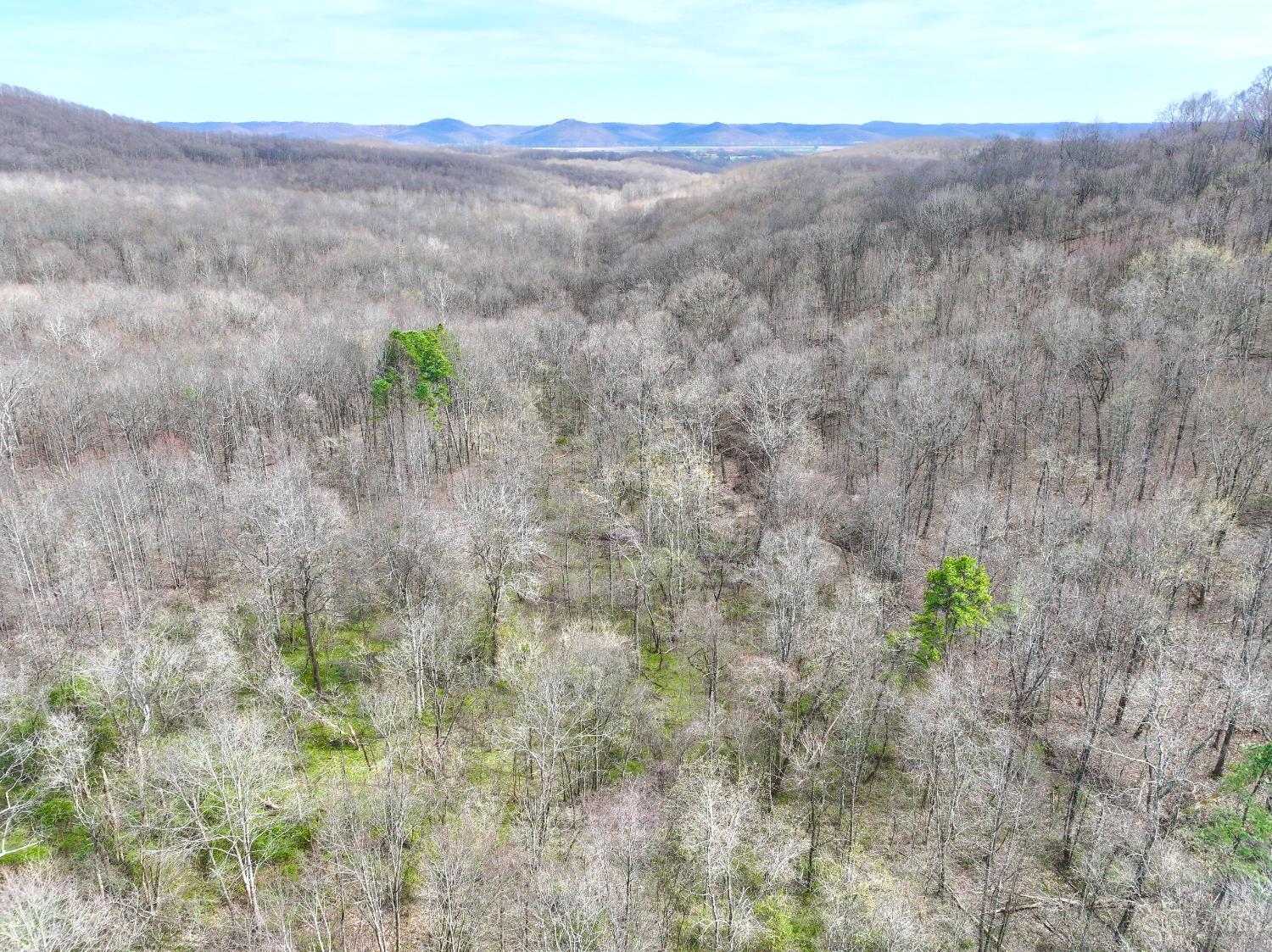 0 Fyffe Hollow Road Chillicothe, OH 45601 - Photo 30 of 96