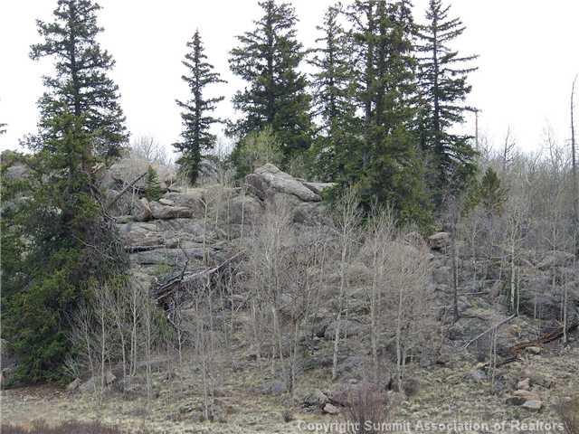 3262 Stagestop Road Jefferson, CO 80456 - Photo 3 of 6 Gallery Image 3