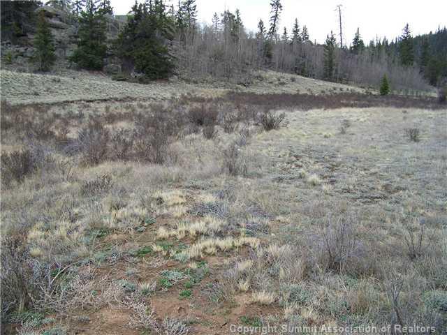 3262 Stagestop Road Jefferson, CO 80456 - Photo 4 of 6 Gallery Image 4