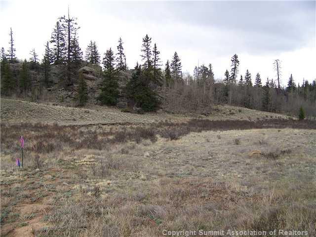 3262 Stagestop Road Jefferson, CO 80456 - Photo 6 of 6 Gallery Image 6