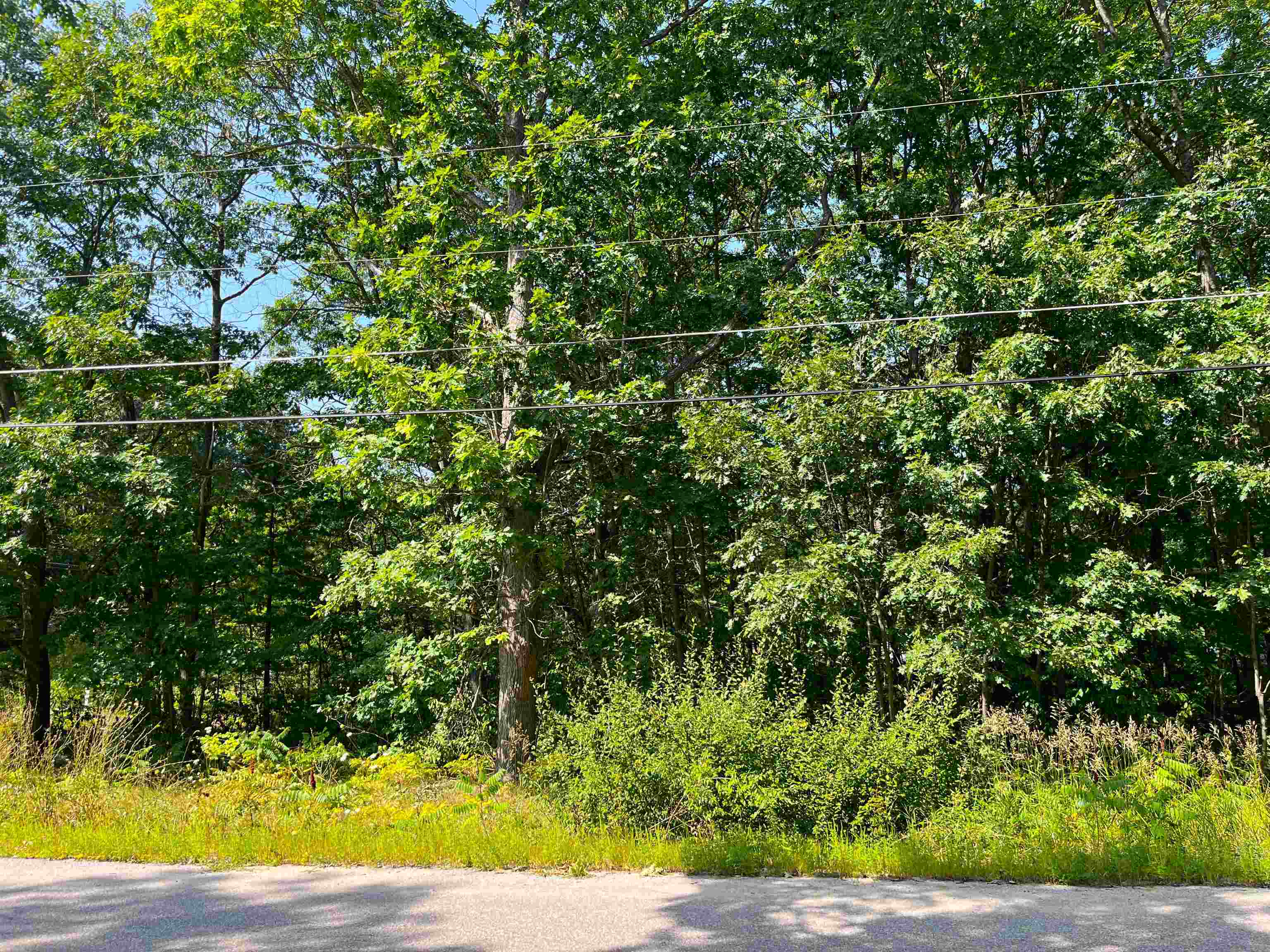 Lot B 3rd Street Interlochen, MI 49643 - Photo 4 of 5