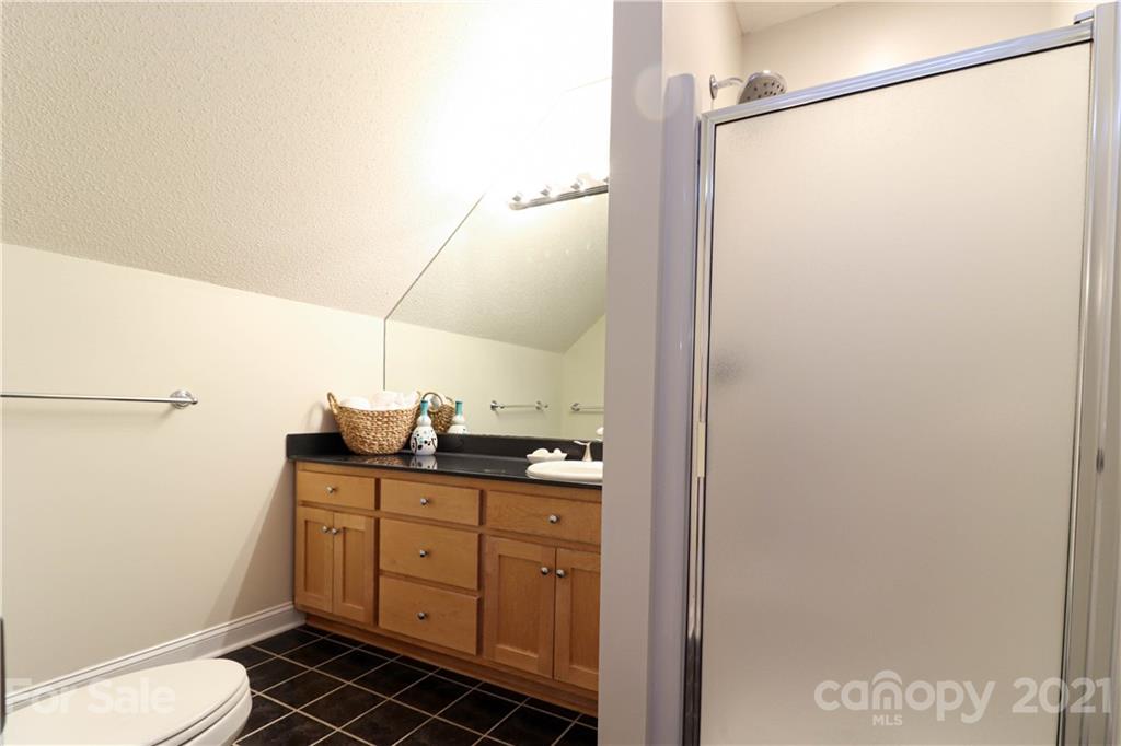 6023 Olive Branch Road Wingate, NC 28174 - Photo 35 of 44 a bathroom with a granite countertop sink a toilet and shower