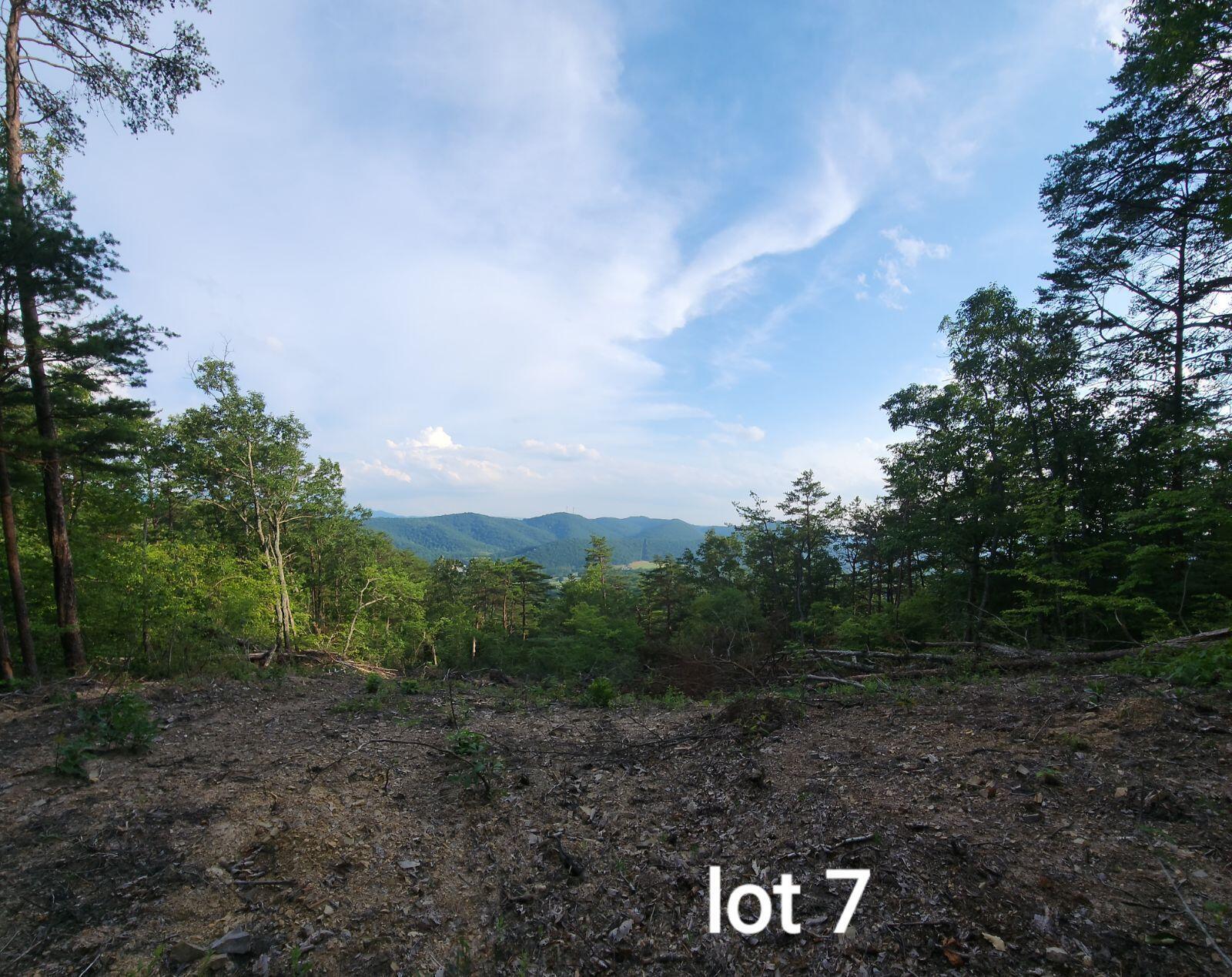 3031 Reese Mountain Road Elliston, VA 24087 - Photo 1 of 1 Lot 7