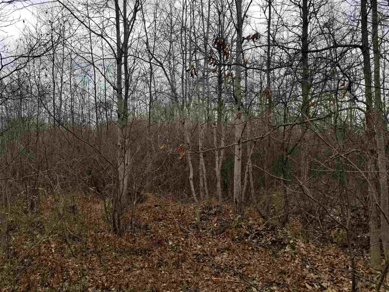 160-acres Watson Road Beaverton, MI 48612 - Photo 2 of 2