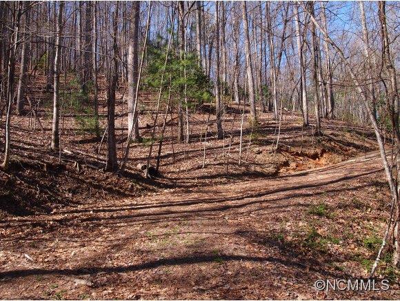 Tbd Tole Allison Road Mills River, NC 28759 - Photo 2 of 9 a view of a backyard with of the house