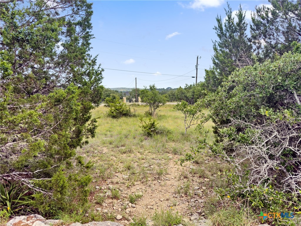 141 Vista View Place Spring Branch, TX 78070 - Photo 6 of 32