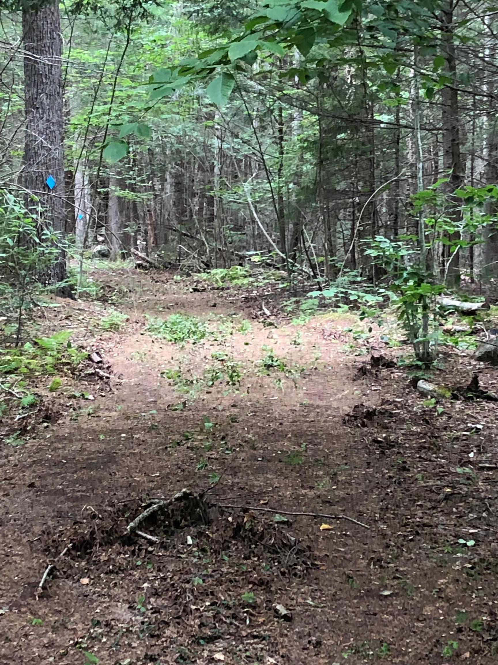 Mountain Road Newbury, NH 03255 - Photo 4 of 7