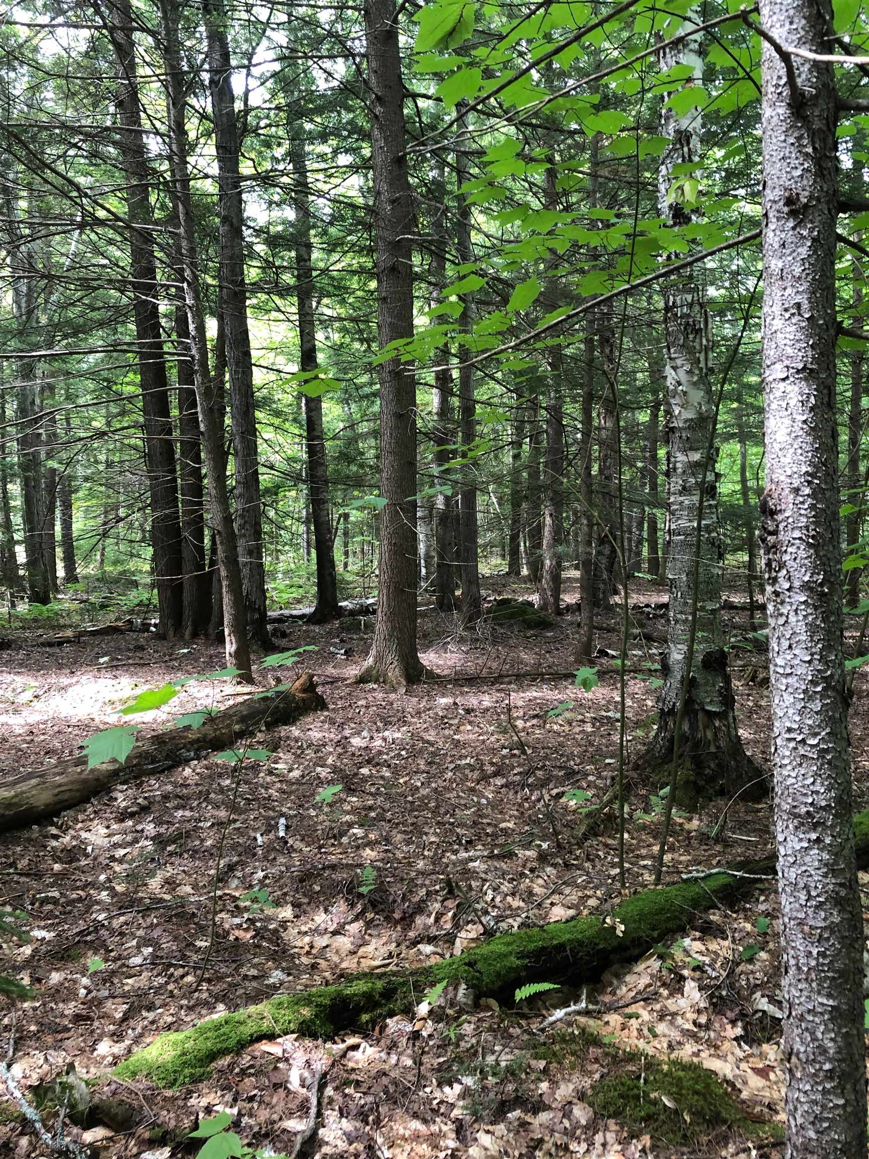 Mountain Road Newbury, NH 03255 - Photo 6 of 7