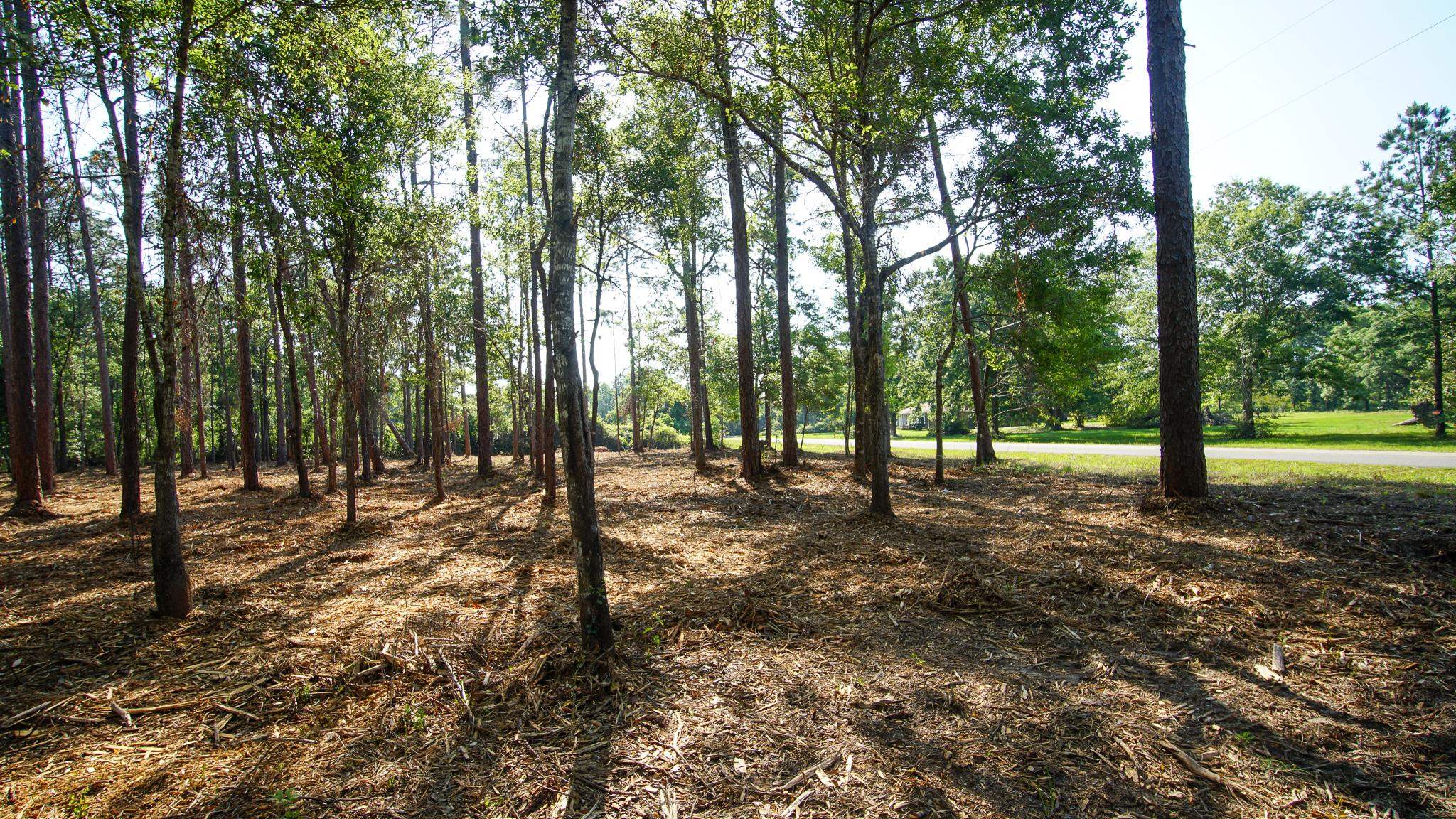0 Antietam Road Lillian, AL 36549 - Photo 32 of 32