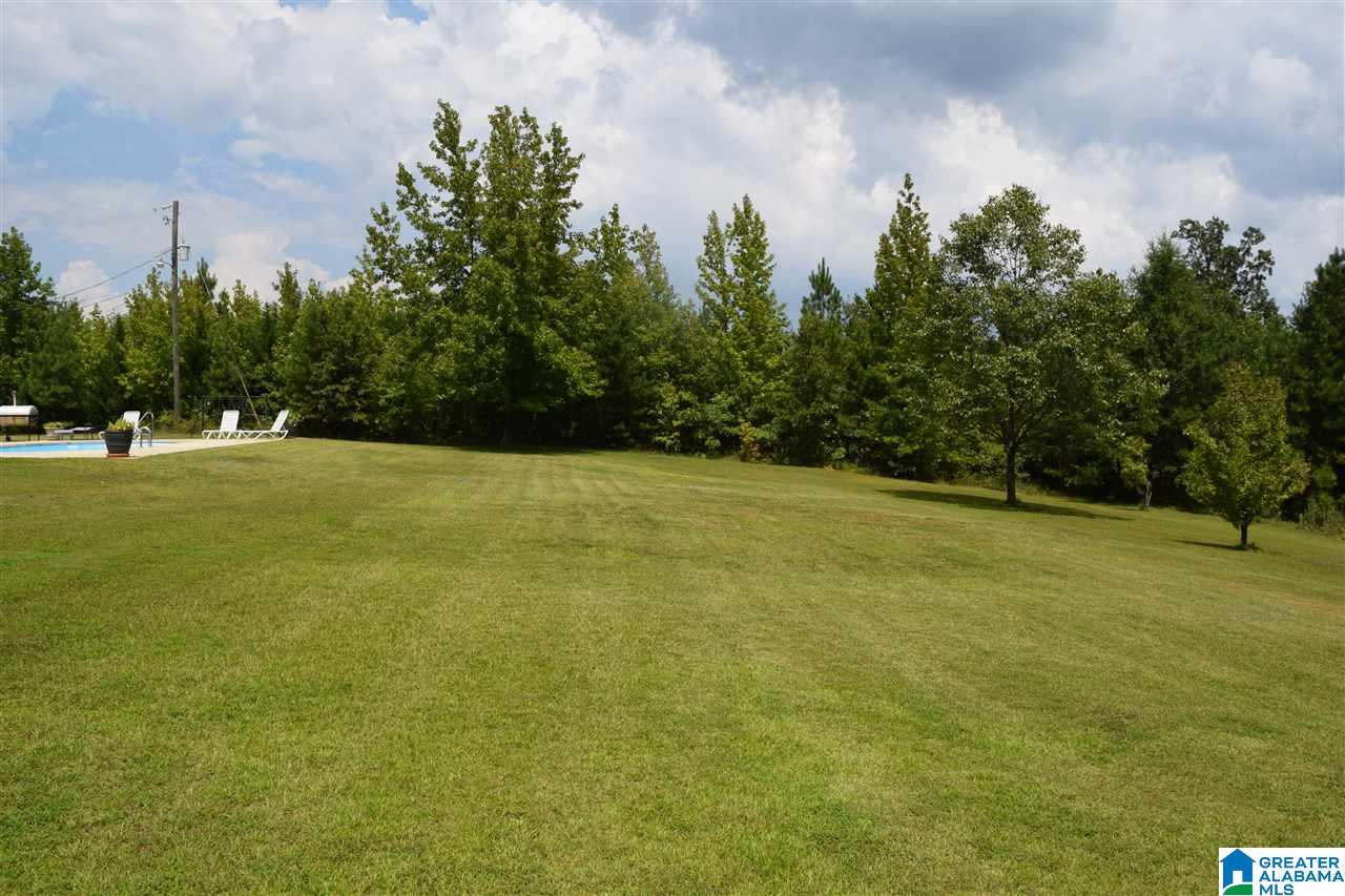 9476 Mountain High Road Warrior, AL 35180 - Photo 5 of 50