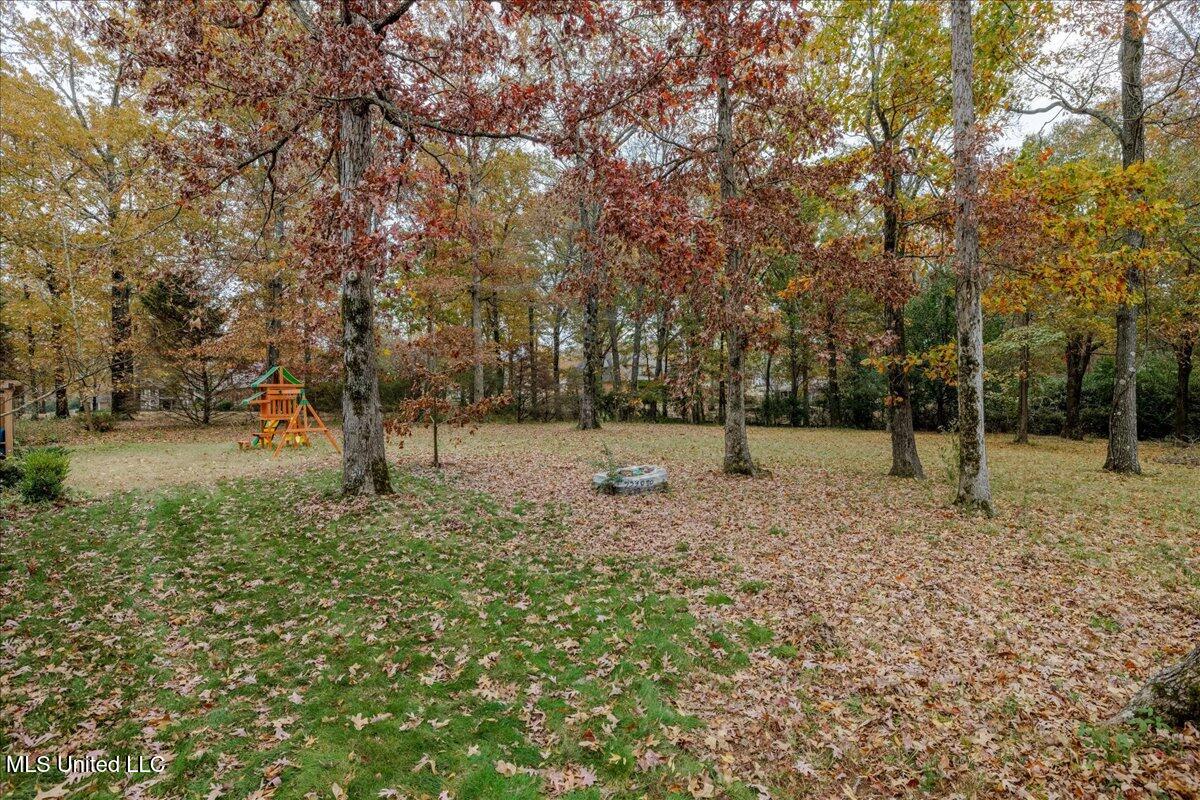 1296 Country Club Road Senatobia, MS 38668 - Photo 9 of 38 37-backyard