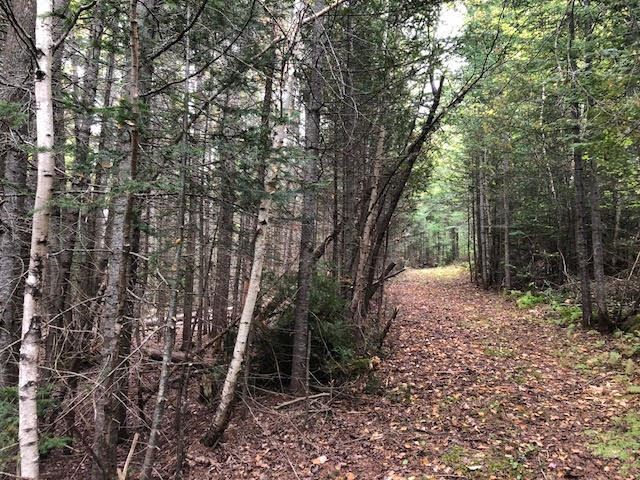 6 Upton Road Errol, NH 03579 - Photo 1 of 5