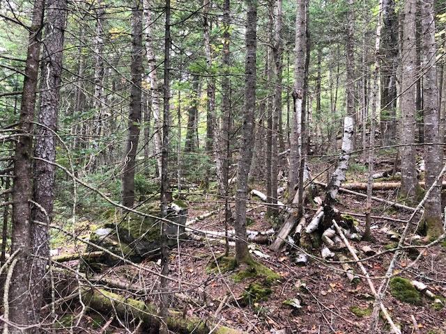 6 Upton Road Errol, NH 03579 - Photo 3 of 5