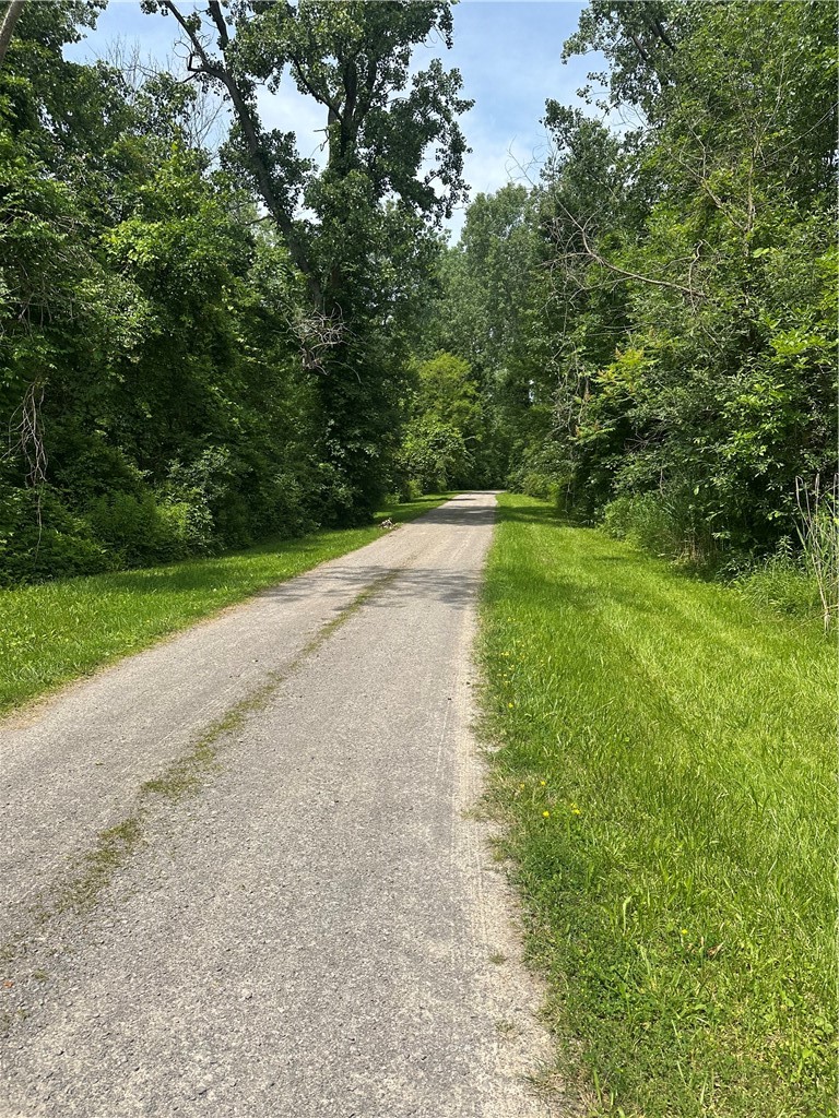 16711 4th Section Road Clarendon, NY 14470 - Photo 31 of 33 Driveway