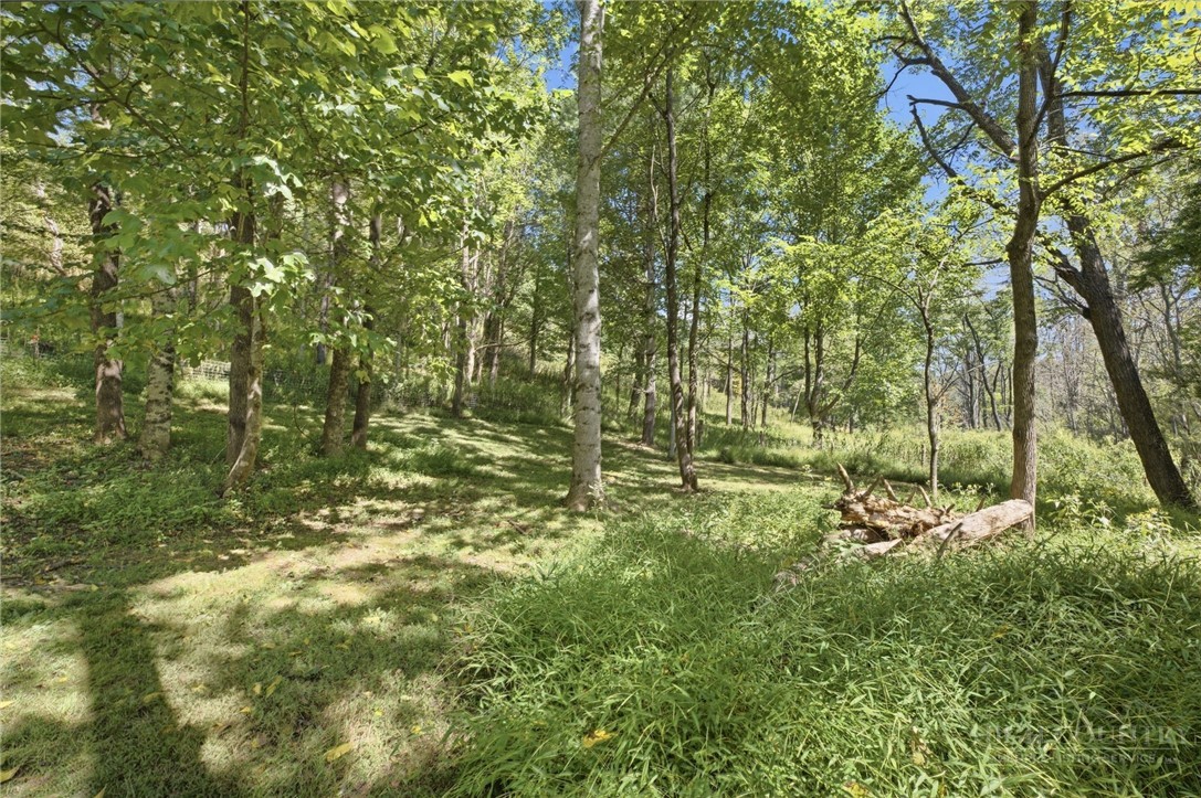 325 Sawyers Road Warrensville, NC 28693 - Photo 23 of 33 Gallery Image 23