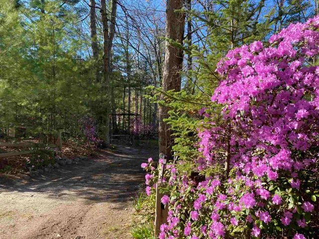 $2,950 | 14 Car Mar Lane, Salem, NH 03079