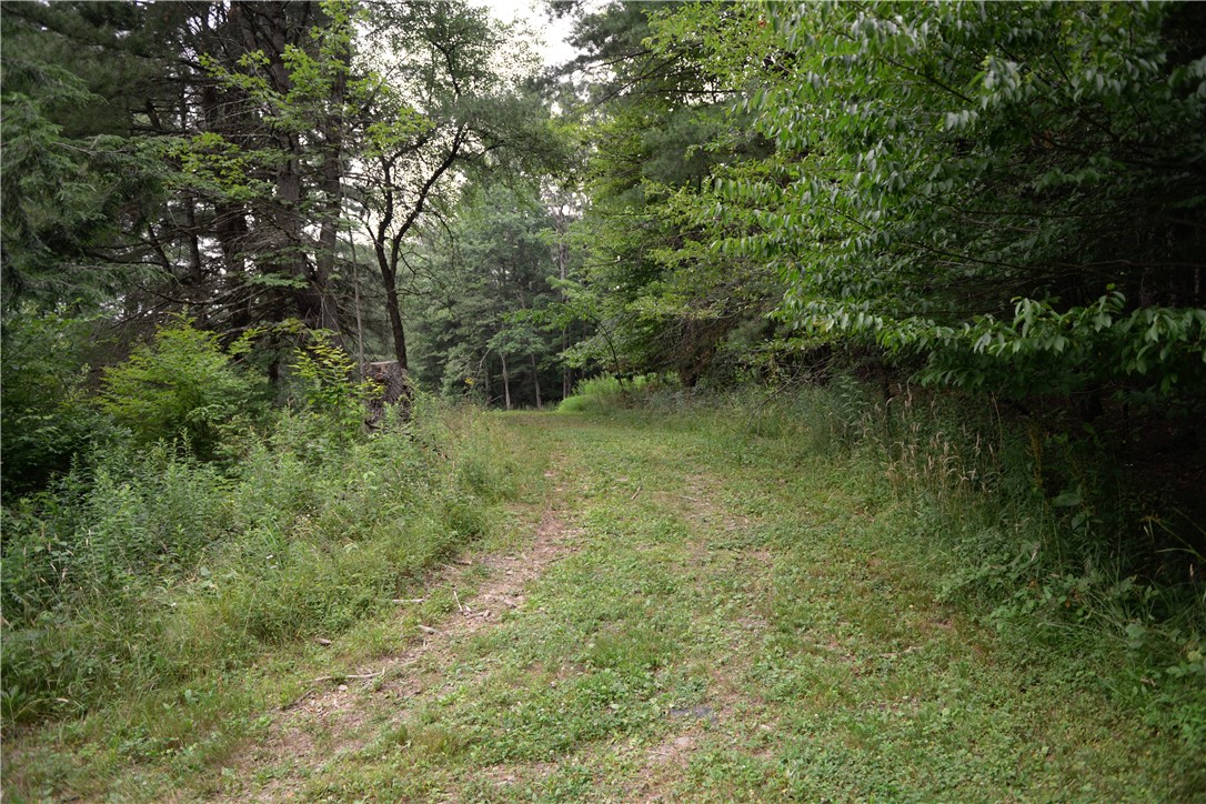 1113 Pazzelli Road Windsor, NY 13865 - Photo 13 of 37