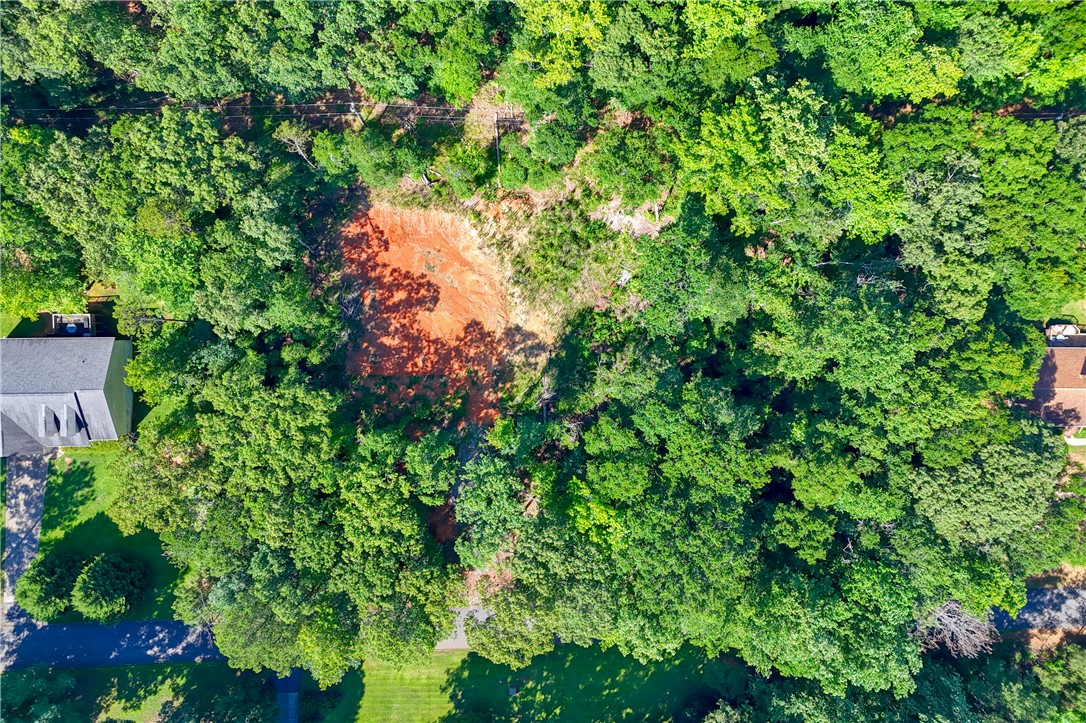 1020 Green Willow Trail Anderson, SC 29621 - Photo 7 of 28 A verdant, wooded lot awaits your custom home.