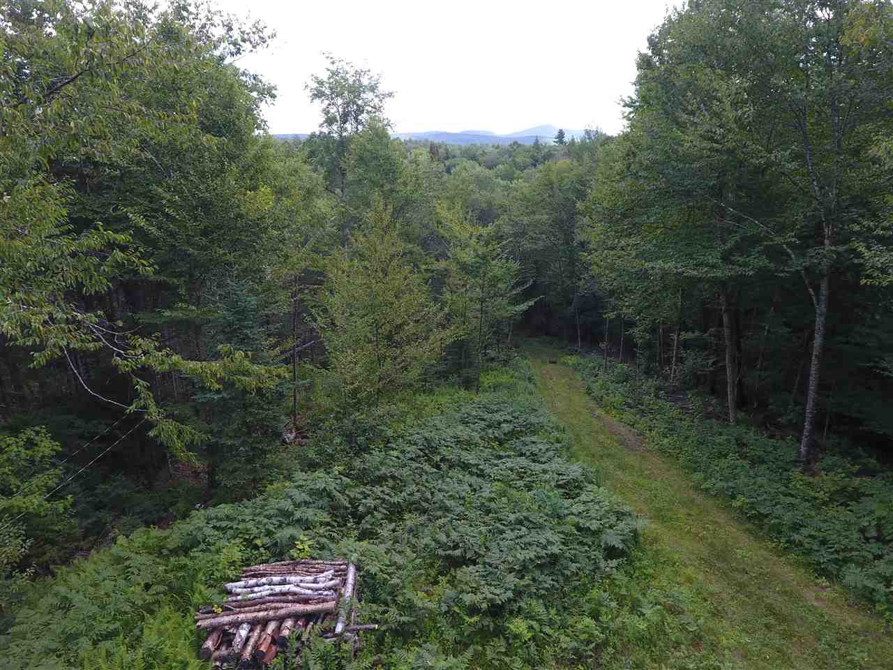 3791 Lincoln Road Ripton, VT 05766 - Photo 4 of 16