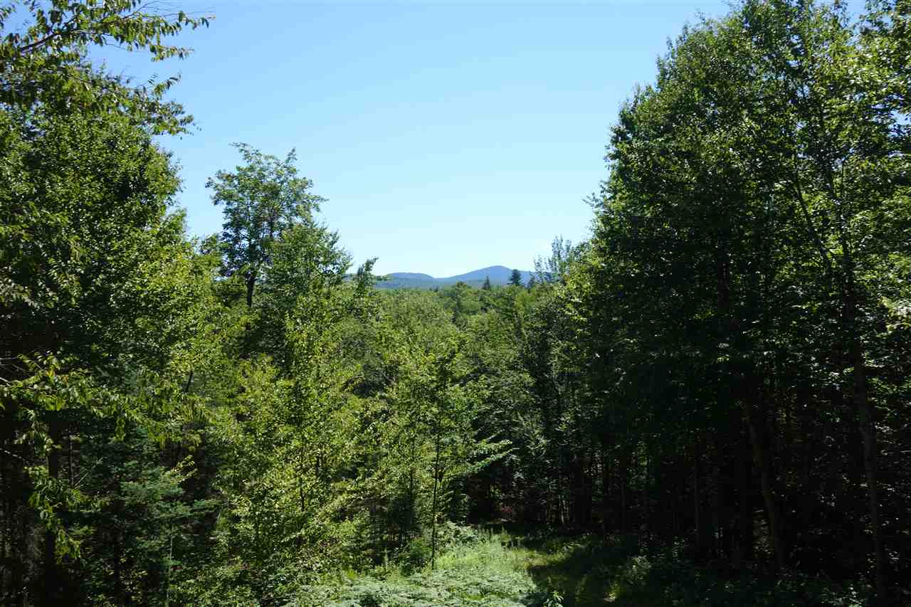 3791 Lincoln Road Ripton, VT 05766 - Photo 5 of 16