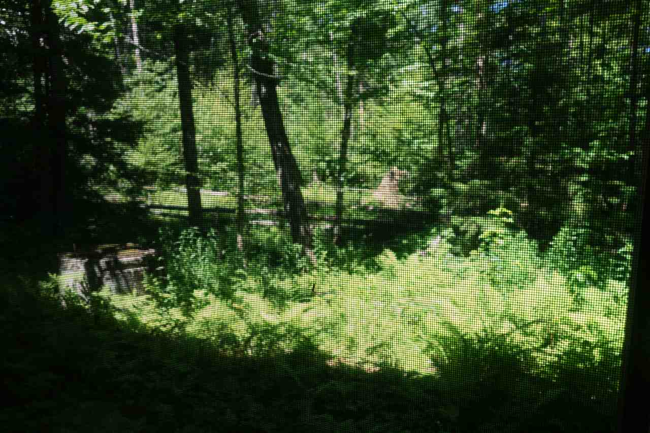 3791 Lincoln Road Ripton, VT 05766 - Photo 7 of 16